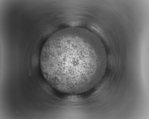 X0000089710499200707051704