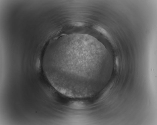 X0000089710500200707051704