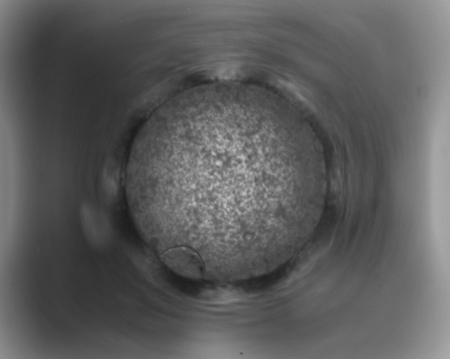 X0000089710503200707051704