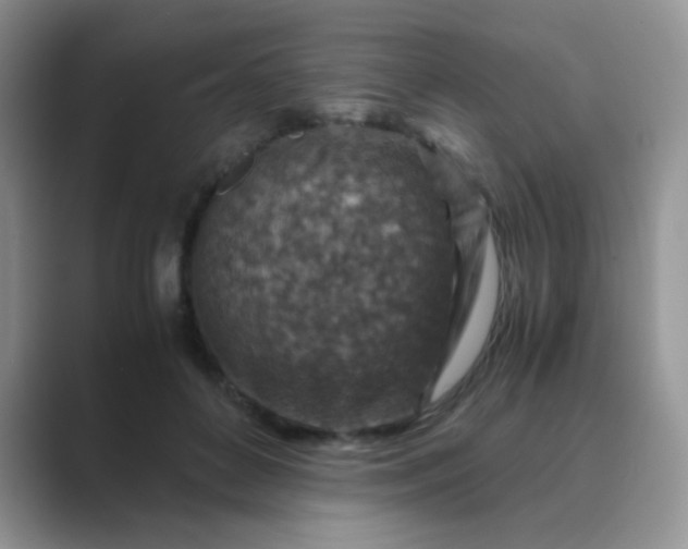 X0000089710504200707051704