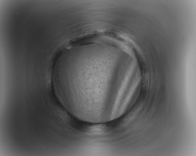 X0000089710505200707051704