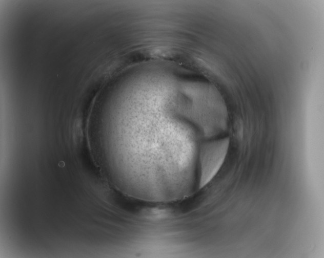 X0000089710506200707051704