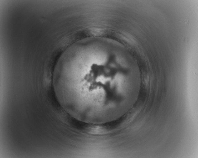 X0000089710507200707051704