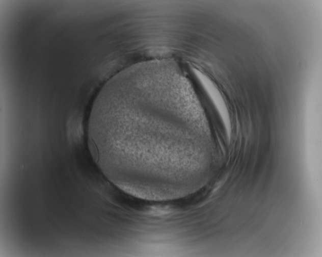 X0000089710508200707051704