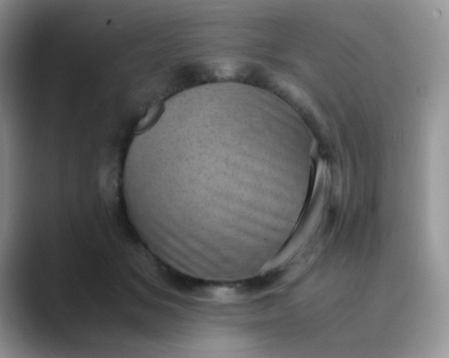 X0000089710509200707051704