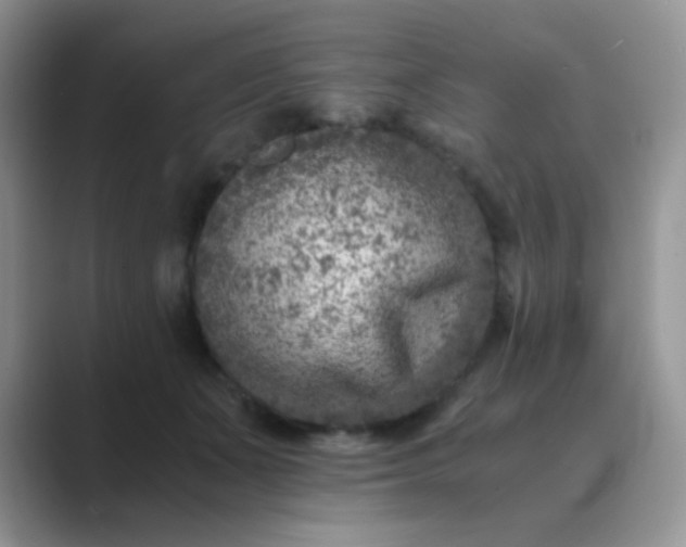 X0000089710511200707051704