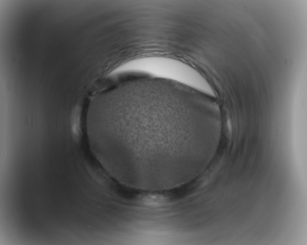 X0000089710512200707051704