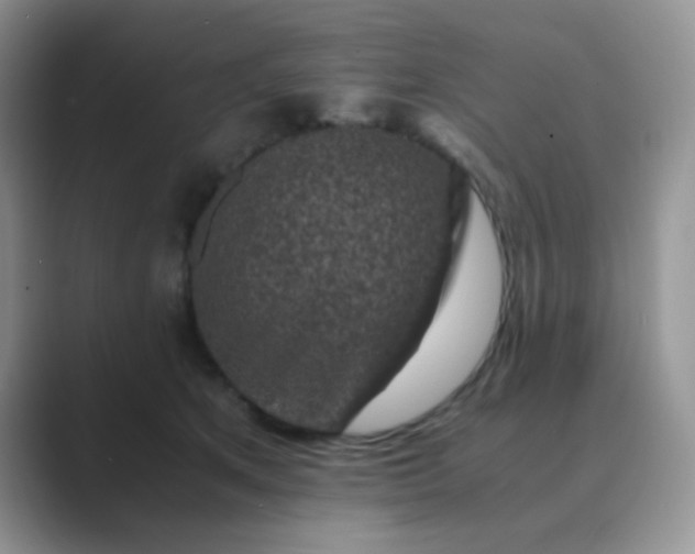 X0000089710513200707051704