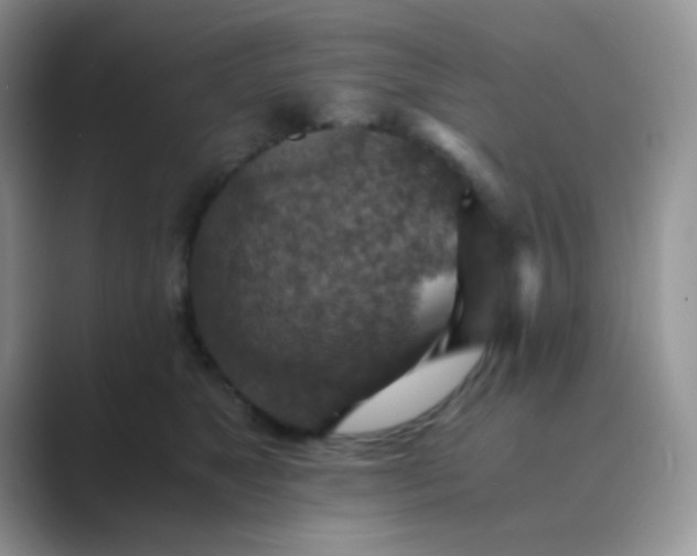 X0000089710517200707051704