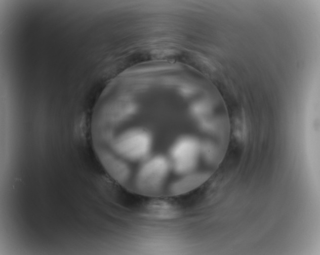 X0000089710519200707051704