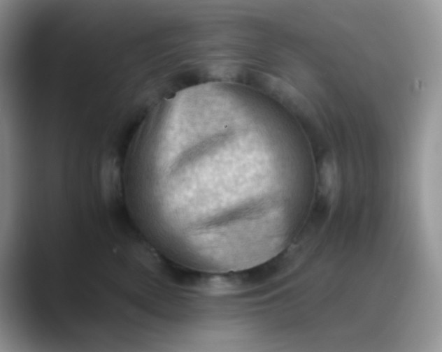 X0000089710522200707051704