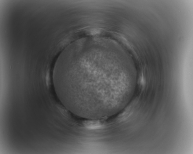 X0000089710524200707051704