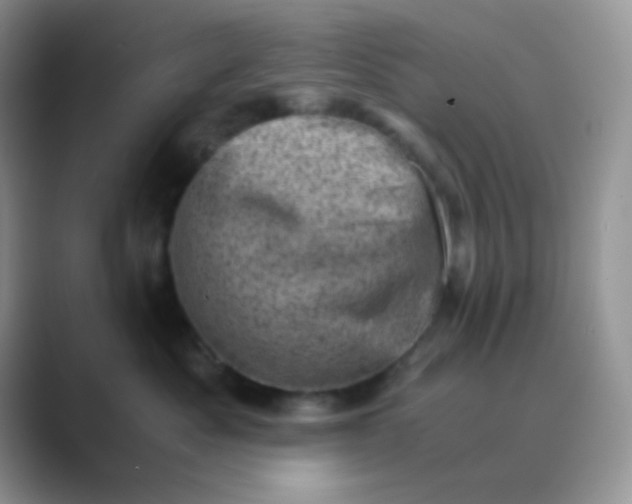 X0000089710525200707051704