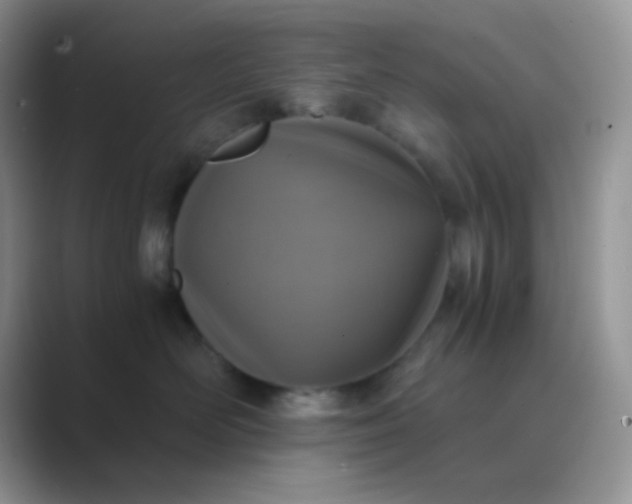 X0000089710526200707051704