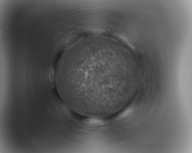 X0000089710528200707051704