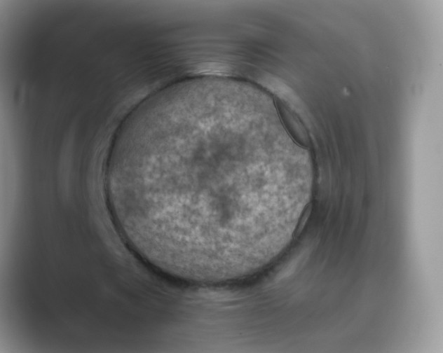 X0000089710529200707051703