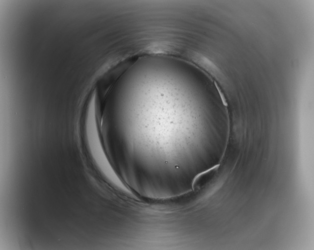 X0000089710530200707051703