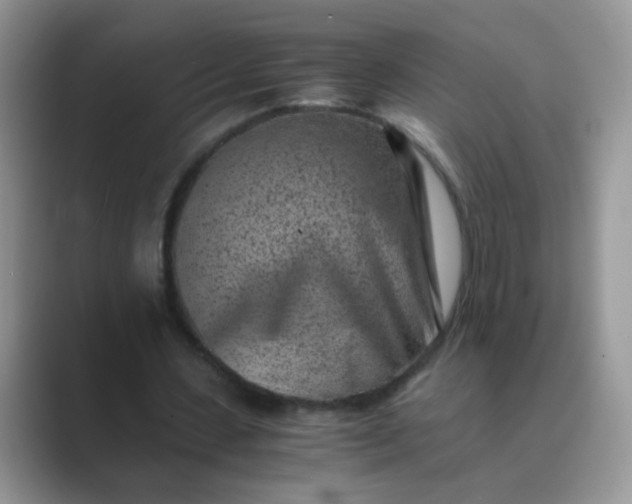 X0000089710531200707051703