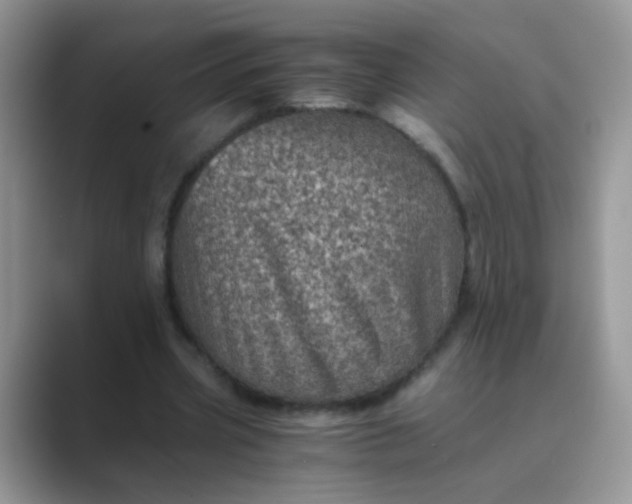 X0000089710533200707051703