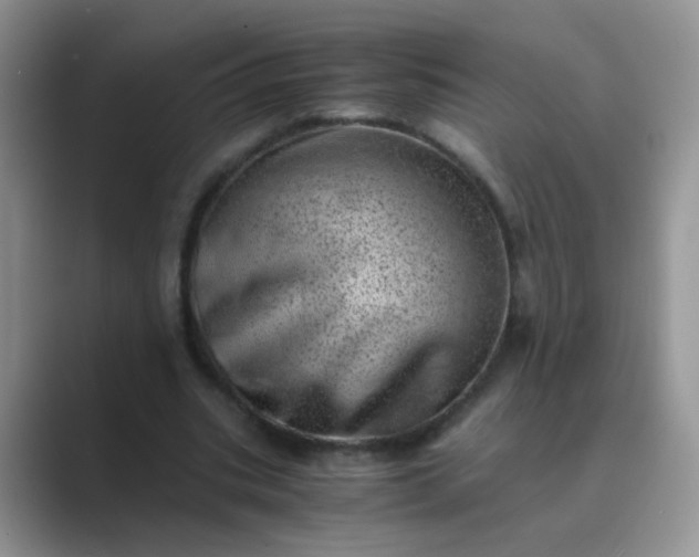 X0000089710535200707051703