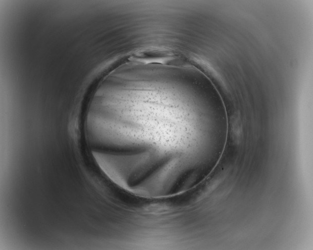 X0000089710536200707051703