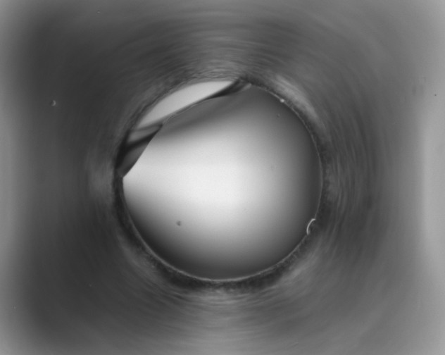 X0000089710538200707051703