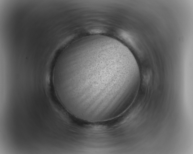 X0000089710539200707051703