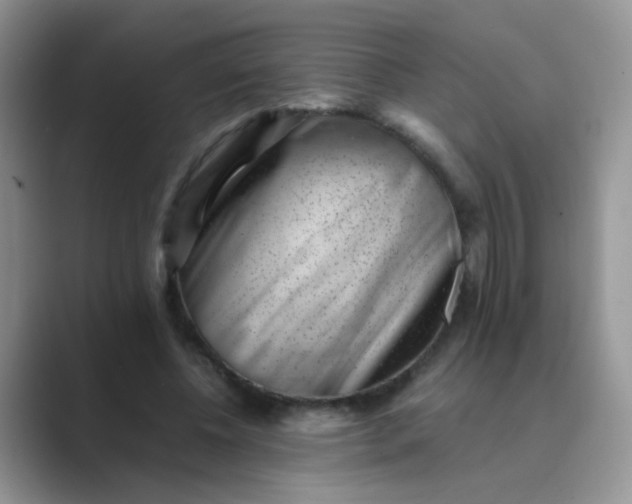 X0000089710540200707051703