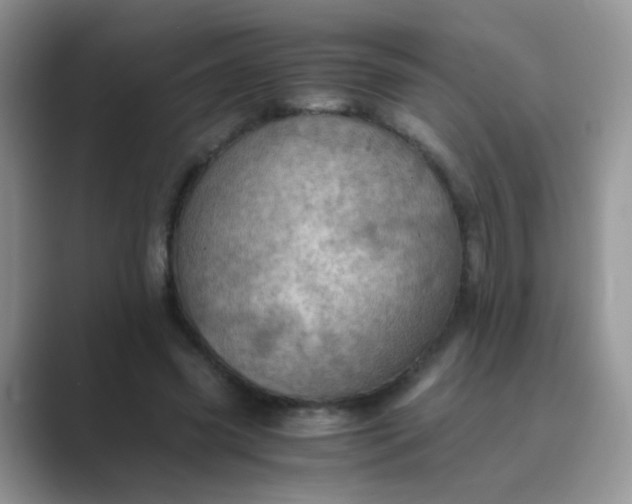 X0000089710541200707051703