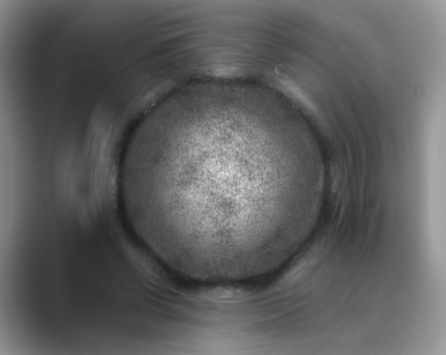 X0000089710542200707051703