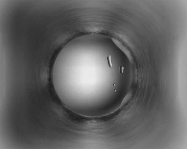 X0000089710544200707051703