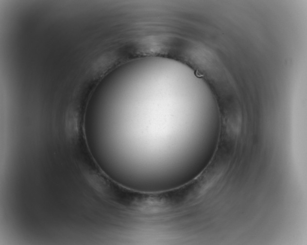 X0000089710546200707051703