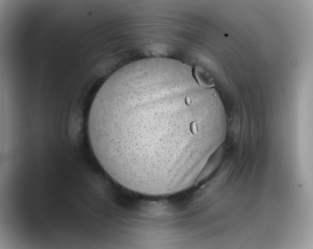 X0000089710548200707051703