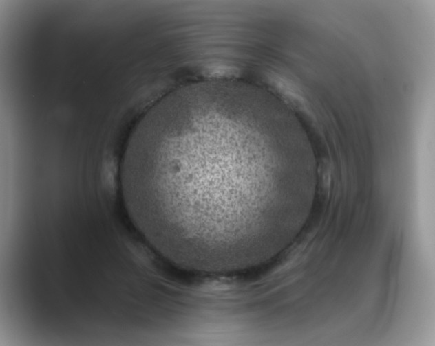 X0000089710550200707051703