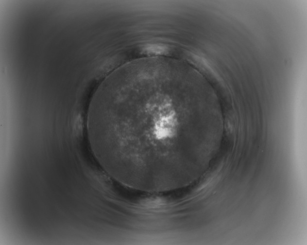 X0000089710551200707051703