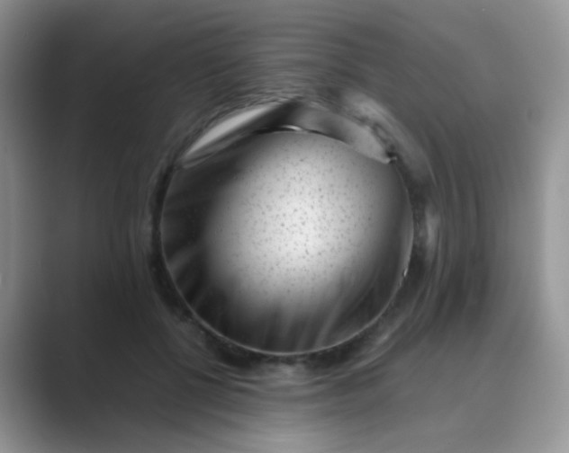 X0000089710552200707051703