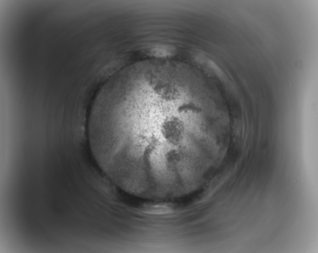 X0000089710553200707051703