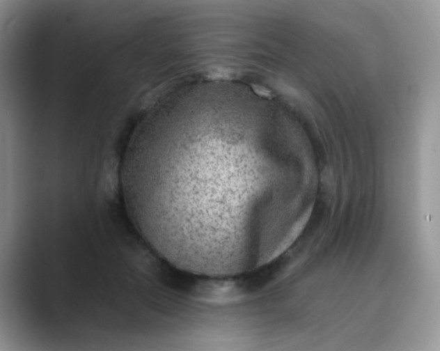 X0000089710554200707051703