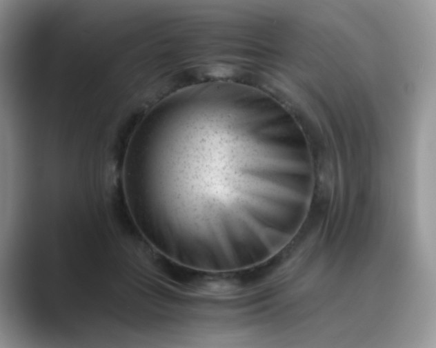 X0000089710555200707051703