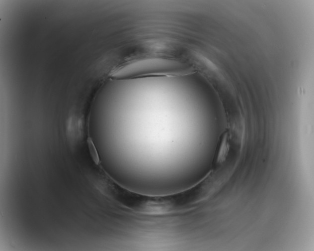 X0000089710556200707051703