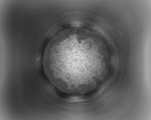 X0000089710557200707051703