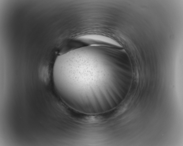 X0000089710558200707051703