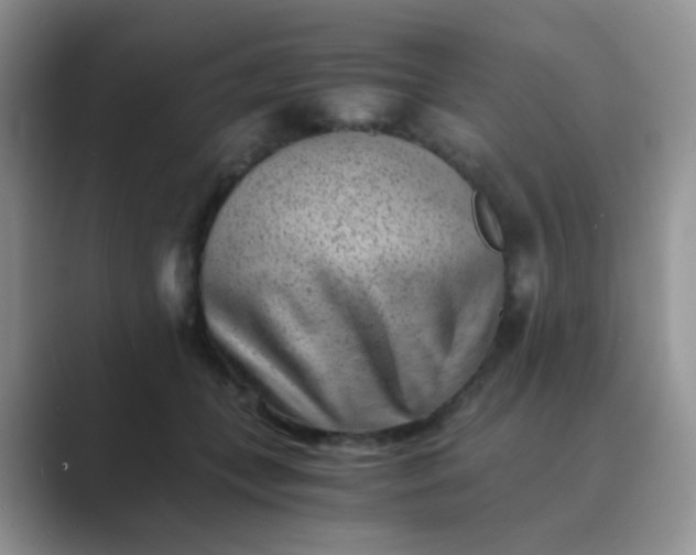 X0000089710559200707051703