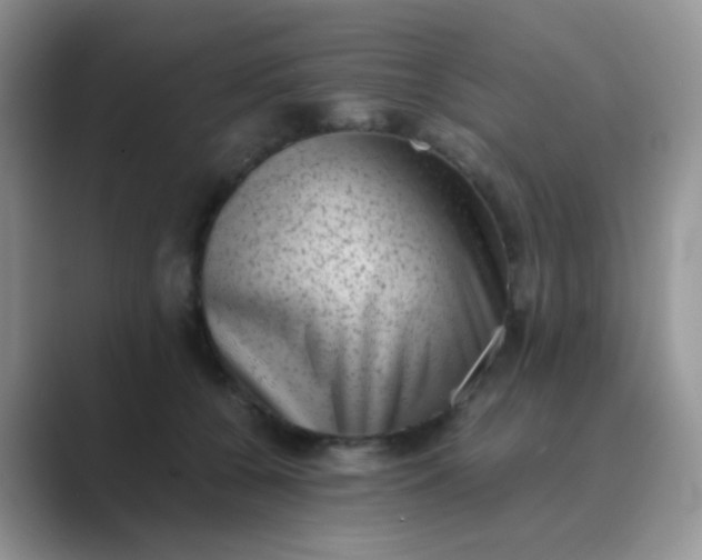 X0000089710560200707051703