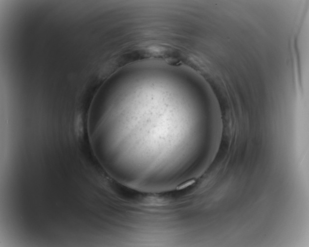 X0000089710562200707051703