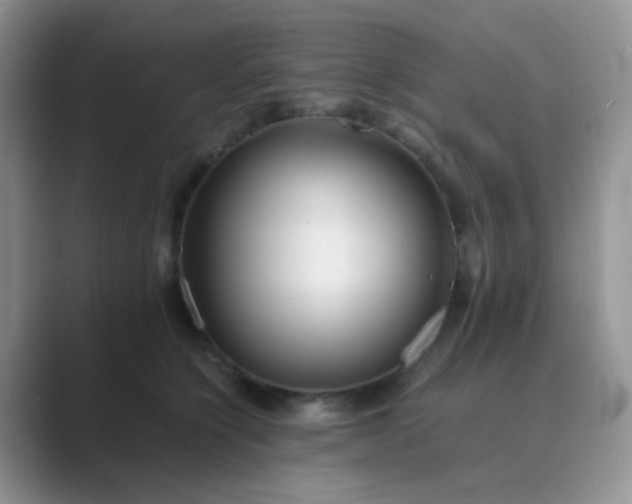 X0000089710564200707051704