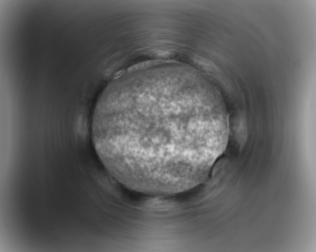 X0000089710568200707051704