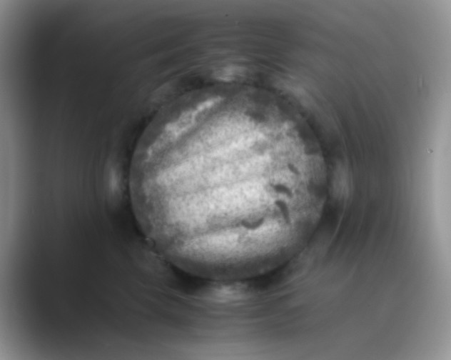 X0000089710569200707051704