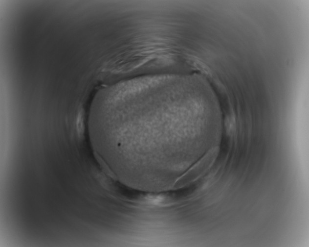 X0000089710570200707051704