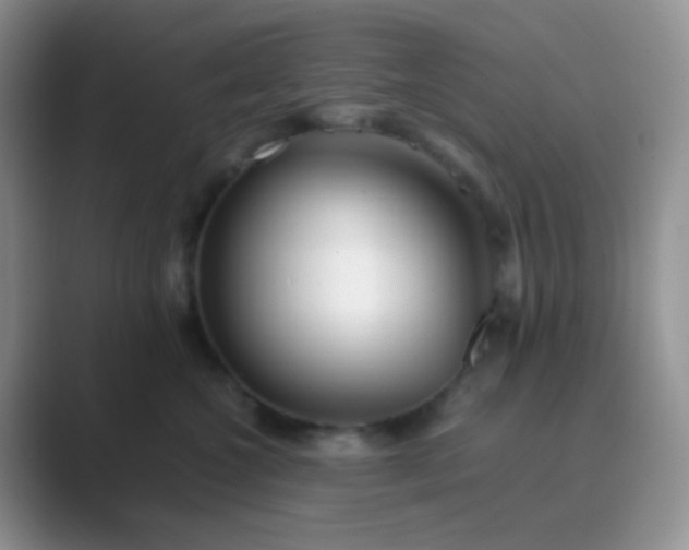 X0000089710572200707051704